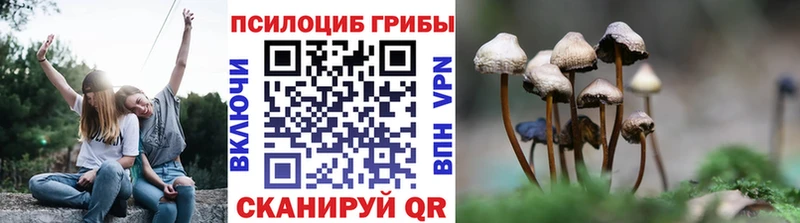 Псилоцибиновые грибы Psilocybe наркотики Анадырь